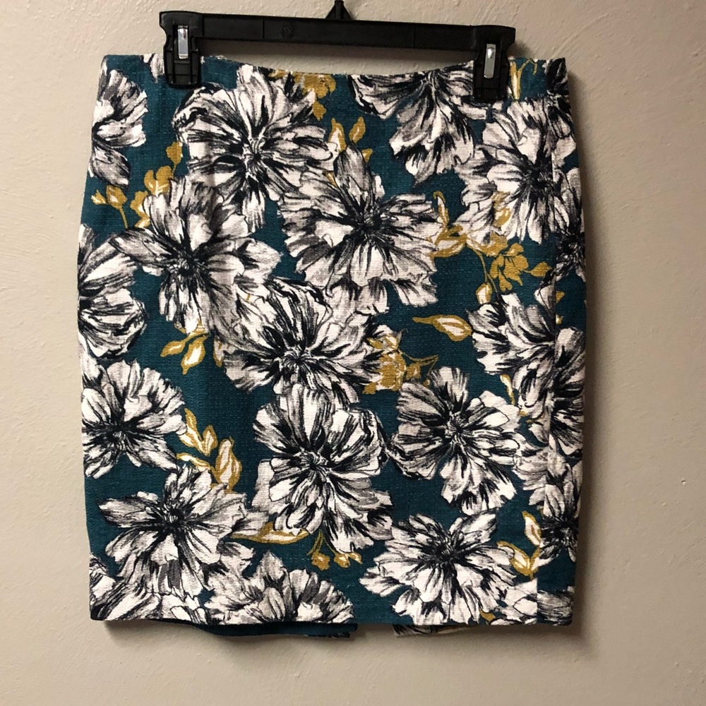 Ann Taylor Factory Skirt - Size 10P